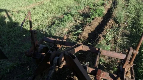 Potato digging process with using tractor. Stock Footage 78758806