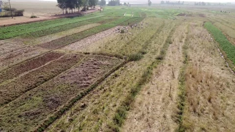 Potato Farm Stock Footage 166801472