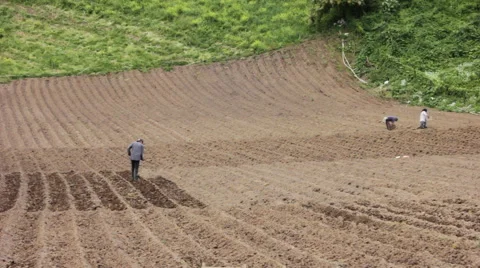 Potato Farmer Tills Fields Stock Footage 59707143