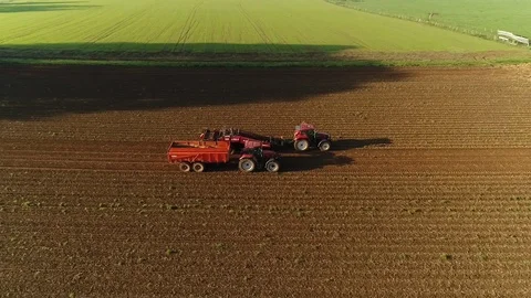 Potato field Stock Footage 86203972