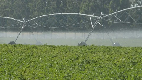 Potato field irrigation system 4k slow motion 스톡 동영상 125053123