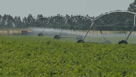 Potato field irrigation system 4k slow motion Stock Footage 125053193