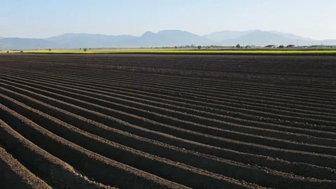 Potato field in the spring countryside Stock-Footage 90408488