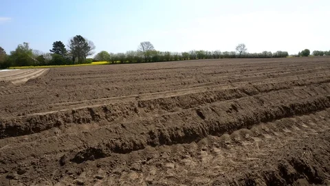 Potato Field In Spring With Deep Row Hills Stock Footage 129269099