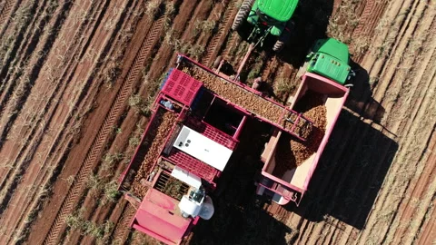 Potato Fields (Harvesting) Overhead 4K ProRes Stock Footage 239385082
