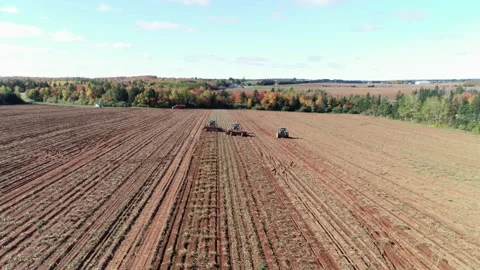 Potato Fields (Harvesting) Pull Back 4K ProRes Stock Footage 239851068