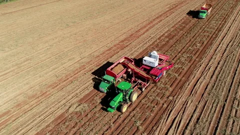 Potato Fields (Harvesting) Static Angle 4K ProRes Stock Footage 239926980