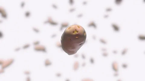 Potato Floating Over an Out of Focus White Background 库存影片 72299684