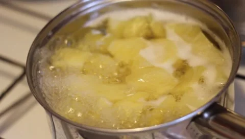 Potato Stock Footage 7731233