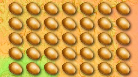 Potato Stock Footage 135230042