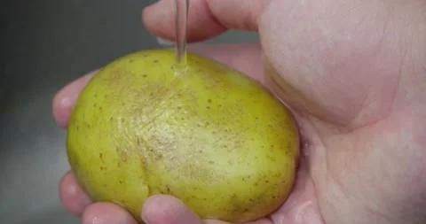 Potato Video stock 237370846