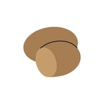 Potato. Fresh organic vegetable. Vector illustration Stock Illustration