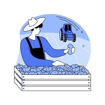 Potato growing isolated cartoon vector illustrations. Stock Illustration