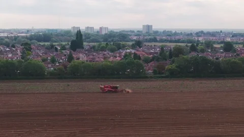 Potato Harvesting Stock Footage 316554059