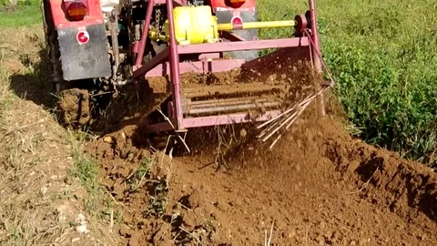 Potato harvesting with tractor Stock Footage 82352282