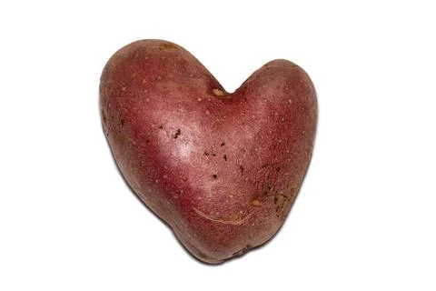 Potato in a heart shape on the white background. Stock Photos