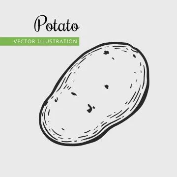 Potato Stock Illustration