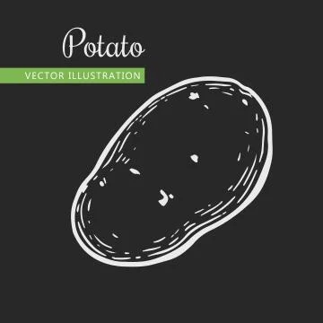 Potato Stock Illustration