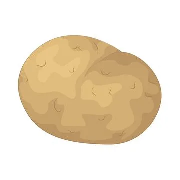 Potato illustration Illustration