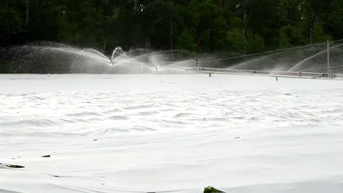 Potato irrigation Stock Footage 90245922