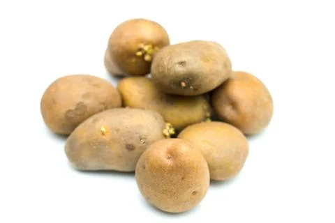 Potato isolated image. Stock Photos