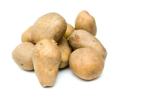 Potato isolated image. Stock Photos