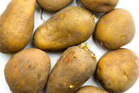 Potato isolated image. Stock Photos