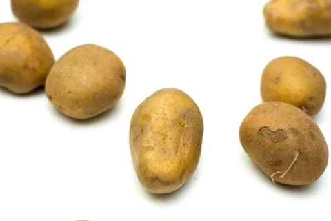 Potato isolated image. Stock Photos