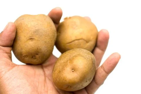 Potato isolated image. Stock Photos