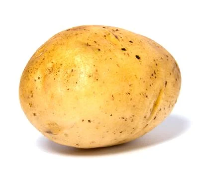 Potato isolated on white background Stock Photos