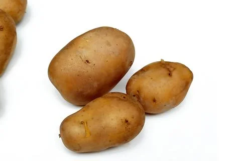 Potato isolated on white background Stock Photos