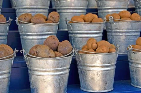 Potato pails Stock Photos