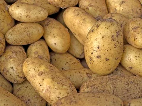 Potato Stock Photos