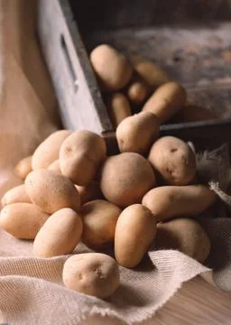 Potato Stock Photos