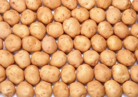 Potato Stock Photos