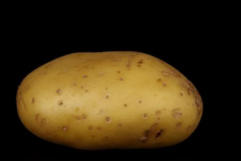 Potato Stock Photos
