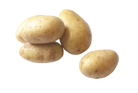 Potato Foto stock