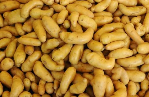 Potato Stock Photos