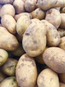 Potato Stock Photos