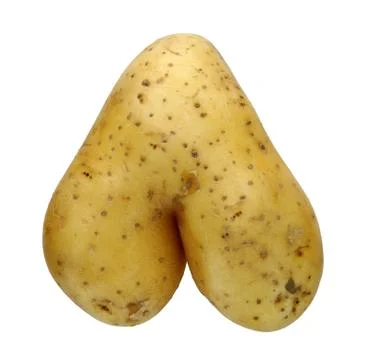 Potato Stock Photos