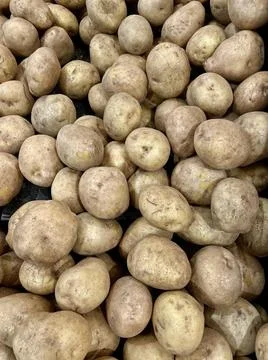 Potato Stock Photos