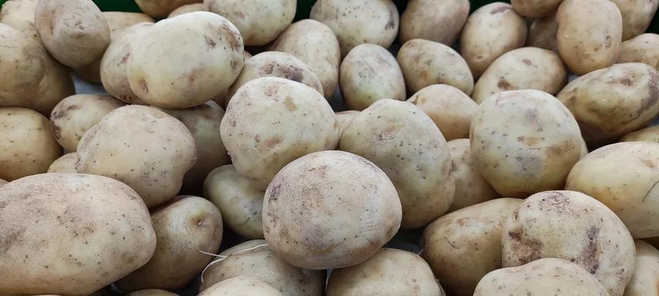 Potato Stock Photos