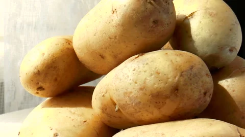 Potato pile rotating Stock Footage 90775062