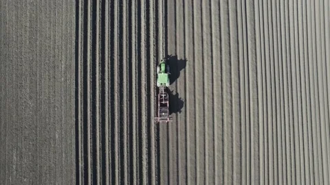 Potato Planting Stock-Footage 202081441