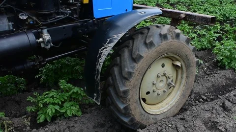 Potato processing, close-up Stock Footage 110843776