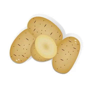 Potato realistic vector illustration Stock Illustration