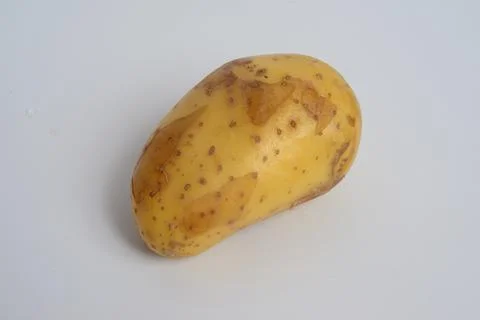 The potato is a root vegetable native to the Americas Stock Photos