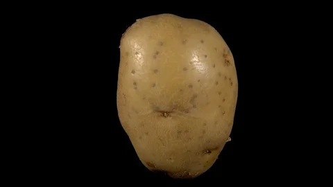 Potato Rotating 库存影片 123920162