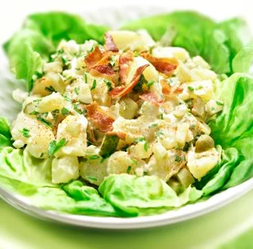 Potato salad with letuce Stock Photos