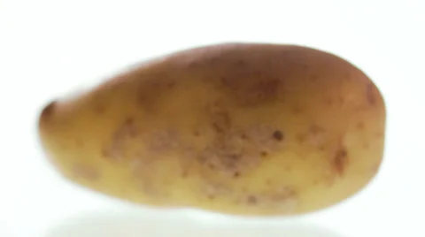 A potato, Sweden. Stock Footage 51819289